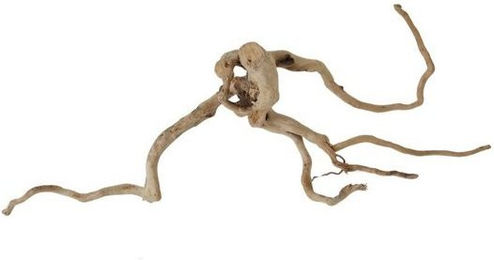 Produktbild von AquaOne XXL Moorkienwurzel Nr.9809 Aquarium Wurzel Holz Deko Aquascaping