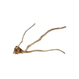 AquaOne XXL Moorkienwurzel Nr.9825 Aquarium Wurzel Holz Deko Aquascaping – Bild 1 von 4