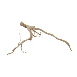 AquaOne XXL Moorkienwurzel Nr.9827 Aquarium Wurzel Holz Deko Aquascaping – Bild 1 von 4