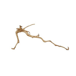 Produktbild von AquaOne XXL Moorkienwurzel Nr.9843 Aquarium Wurzel Holz Deko Aquascaping