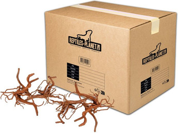 Produktbild von Aquarium Deko Spinnenwurzel S Reptiles Planet