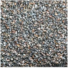 Produktbild von Aquarium Dekoration Substrat Aquavie Aquasable S3