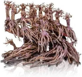 Produktbild von Aquariumdekoration Aquavie Bonsaï Jungle Old M