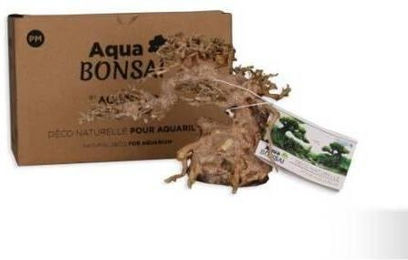 Produktbild von Aquariumdekoration Aquavie Bonsai Natur Pm