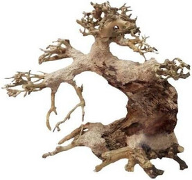 Produktbild von Aquariumdekoration Aquavie Bonsaï Nature XS