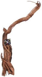 Produktbild von Aquariumdekoration Aquavie Curlivigne Branch ML