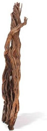 Produktbild von Aquariumdekoration Aquavie Curlivigne Branch XL