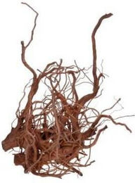 Produktbild von Aquariumdekoration Aquavie Curlivigne XL