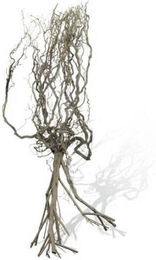 Produktbild von Aquariumdekoration Aquavie Naturbrouss M