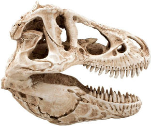 Produktbild von Aquariumdekoration Aquavie R Terra Crane Dino 14