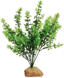 Produktbild von Aquariumdekoration Aquavie R Terra Plantation Feuillage 30