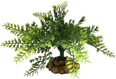 Produktbild von Aquariumdekoration Aquavie R Terra Plantation Feuillage Base Fougi