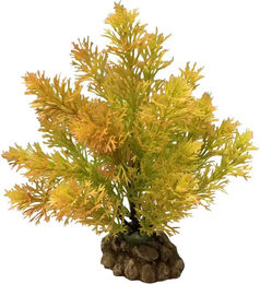 Produktbild von Aquariumdekoration Aquavie R Terra Plantation Large Automne 23