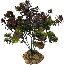 Produktbild von Aquariumdekoration Aquavie R Terra Plantation Violette 22