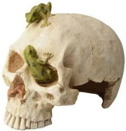 Produktbild von Aquariumdekoration Aquavie Terra Crane Fun