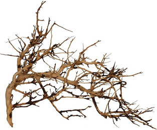 Produktbild von Aquariumdekoration Aquavie Vigne Broussa