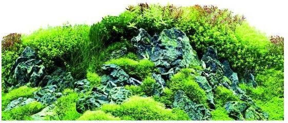 Produktbild von Aquariumdekoration Hobby Scaper's Hill