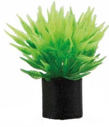 Produktbild von Aquariumdekoration Hobby Utricularia mini