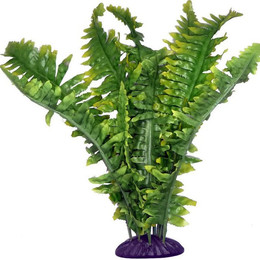 Produktbild von Aquariumdekoration Komodo Boston Fern