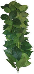 Produktbild von Aquariumdekoration Komodo Sumatra Silk Vine
