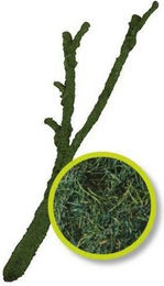 Produktbild von Aquariumdekoration Komodo Tropical Vine Branch