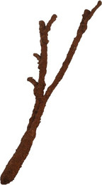 Produktbild von Aquariumdekoration Komodo Tropical Vine Branch