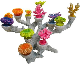 Produktbild von Aquariumdekoration Korallen mit wechselbaren Köpfen Nobby Pet