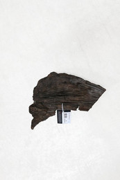 Produktbild von Aquariumdekoration Mangrovenwurzel Aquavie