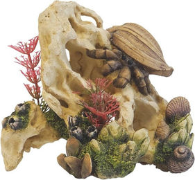 Produktbild von Aquariumdekoration Nobby Pet Muschel Auf Stein