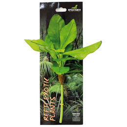 Aquariumdekoration Reptiles Planet Basjoo Sieb – Bild 1 von 7