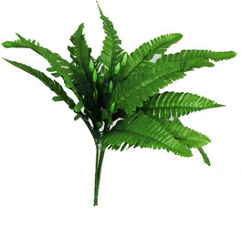 Produktbild von Aquariumdekoration Reptiles Planet Cordifoolia