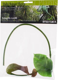 Produktbild von Aquariumdekoration Reptiles Planet Nepenthes carnivorous
