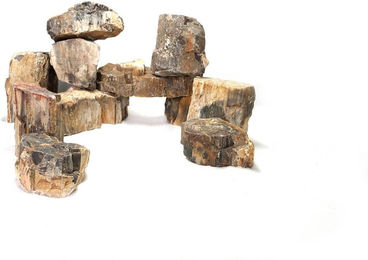 Produktbild von Aquariumdekoration Reptiles Planet Wood Fossil S