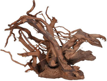 Produktbild von Aquariumdekoration seltene rote Weinrebe Aquavie