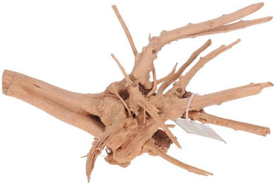 Produktbild von Aquariumdekoration seltene Schlankheitsweinrebe Aquavie