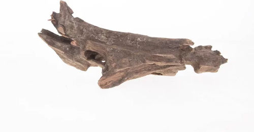 Produktbild von Aquariumdekoration Wurzel pookanatur Aquavie