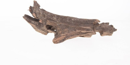 Produktbild von Aquariumdekoration Wurzel pookanatur Aquavie