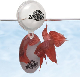 Produktbild von Aquariumdekoration Zoomed Betta miroir be10e
