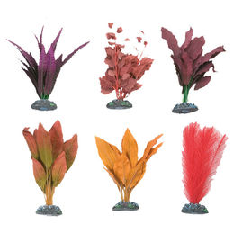 Produktbild von Aquariumpflanze Egypt M