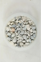 Produktbild von Aquasable Natur Großhandel Zolux