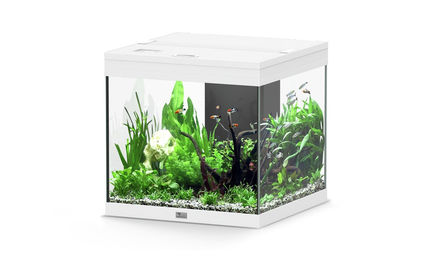 Produktbild von Aquatlantis Aqua Tower 120 Aquarium-Set weiß