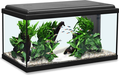 Produktbild von Aquatlantis Aquarium Advance LED 60 schwarz - 54 l