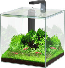 Produktbild von Aquatlantis Aquarium Set Kubus LED 54l - 54 l