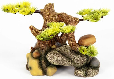 Produktbild von aquatlantis Bonsai auf Stein