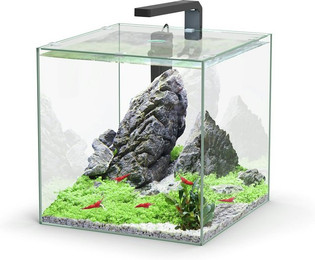 Produktbild von aquatlantis Kubus LED 33 Liter Aquarienset Aquarium