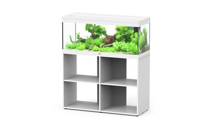 Produktbild von Aquatlantis Prestige 100 Stand Aquarium mit Unterschrank weiß