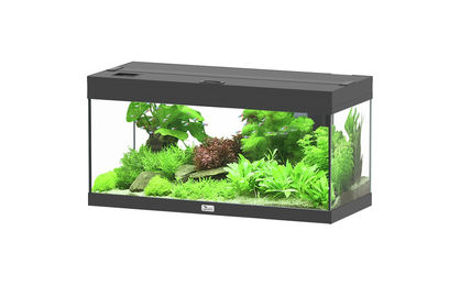 Produktbild von aquatlantis Prestige 80 schwarz Aquarienset Aquarium