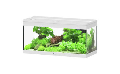 Produktbild von aquatlantis Prestige 80 weiß Aquarienset Aquarium