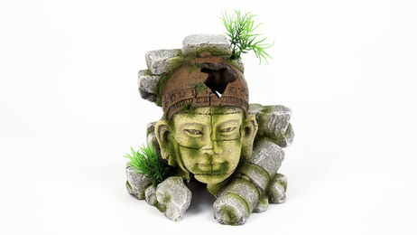 Produktbild von aquatlantis Ruine indigen