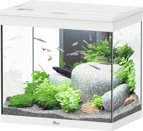 Produktbild von Aquatlantis Splendid 110 Aquarium-Set weiß